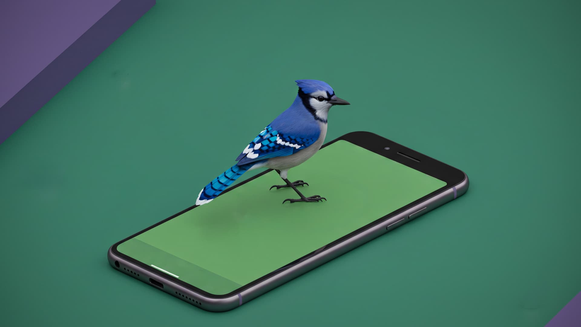 AR Software Development
